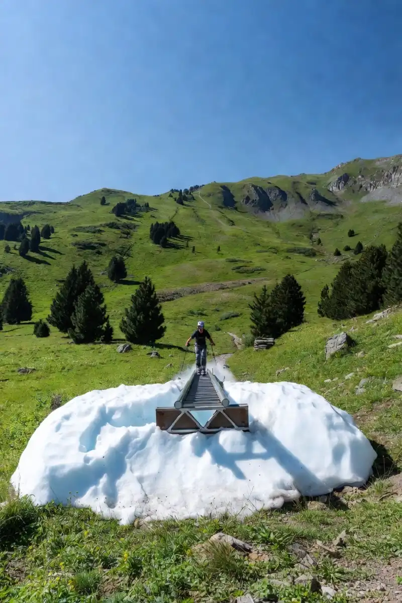 Skier approaching a snow rail feature at a summer terrain park surrounded by green grass and pine trees