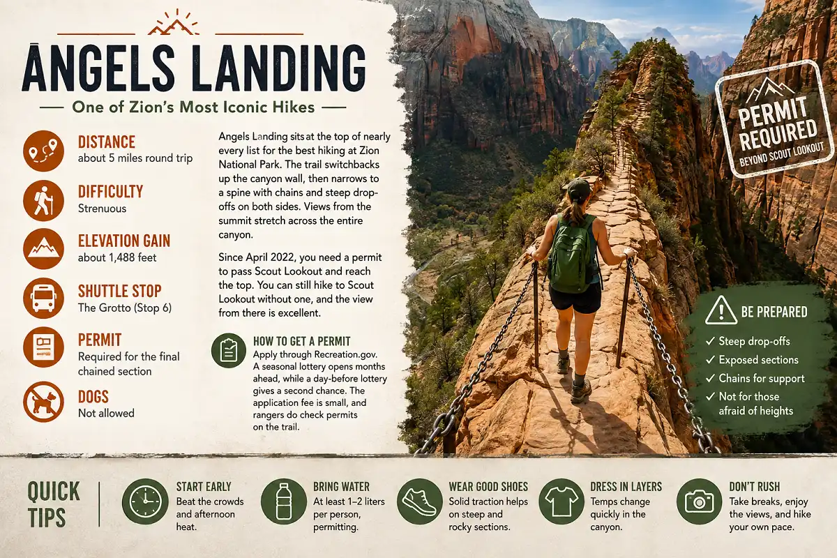 Hiker crossing the chained ridge on Angels Landing in Zion National Park with an infographic highlighting the trail's 5-mile round-trip distance, 1,488-foot elevation gain, strenuous difficulty, The Grotto shuttle stop, permit requirement beyond Scout Lookout, and key hiking safety tips.