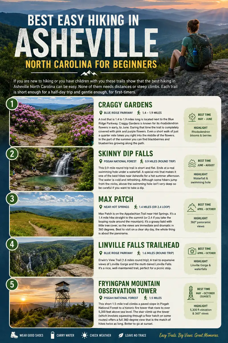 Best easy hikes in Asheville NC for beginners with trail views and tips