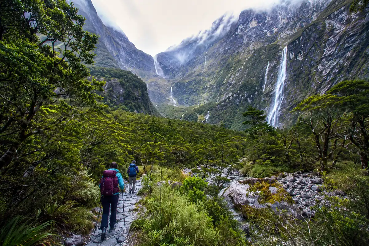Hikers walking the Milford Track through rainforest and mountains