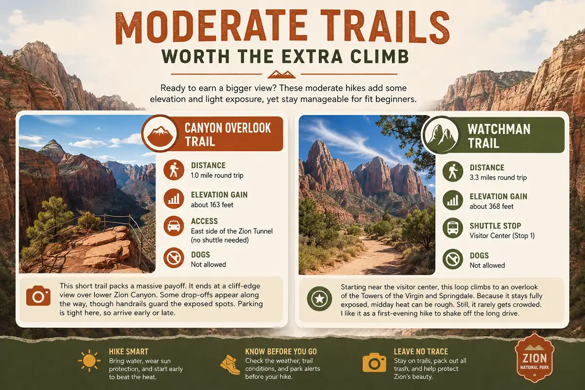 Infographic comparing Zion National Park's moderate hiking trails, Canyon Overlook Trail and Watchman Trail, with distances, elevation gain, access details, dog policies, and scenic canyon viewpoints.